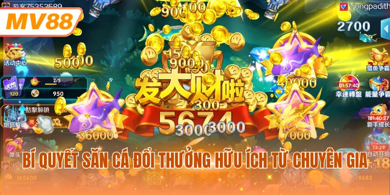 Bí quyết săn cá đổi thưởng hữu ích từ chuyên gia